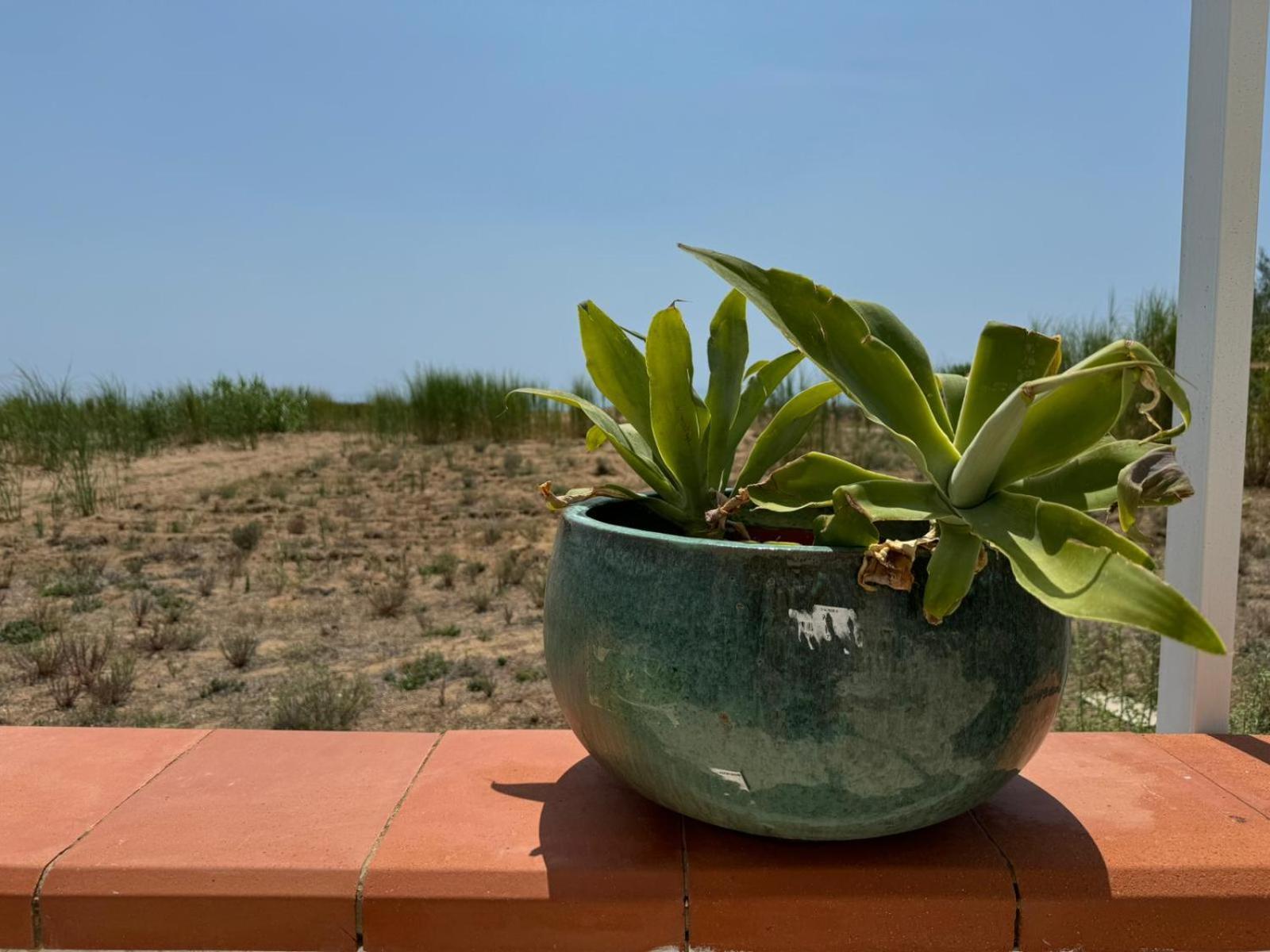 Fin Fiori Villa Менфи Екстериор снимка
