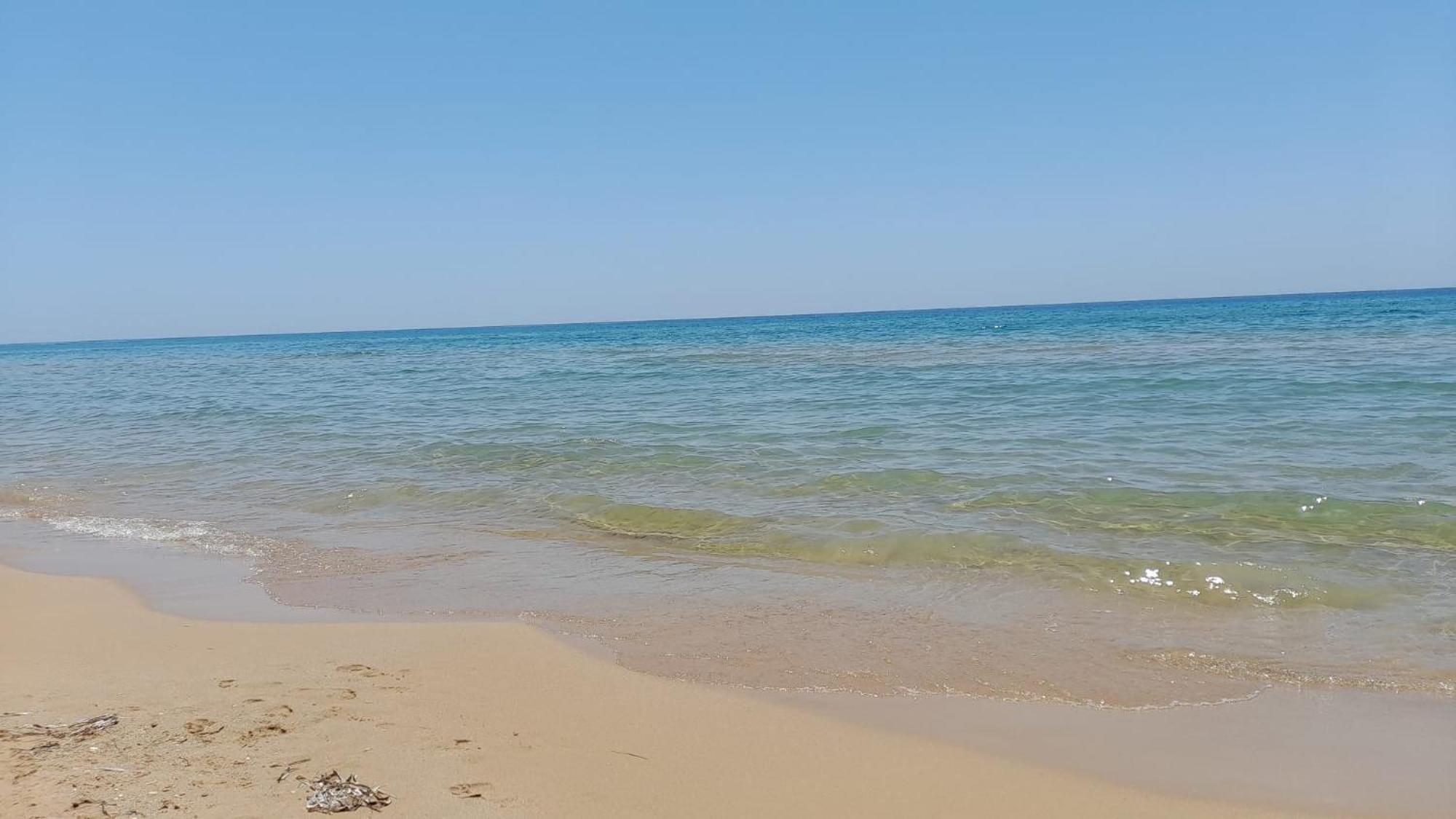 Fin Fiori Villa Менфи Екстериор снимка