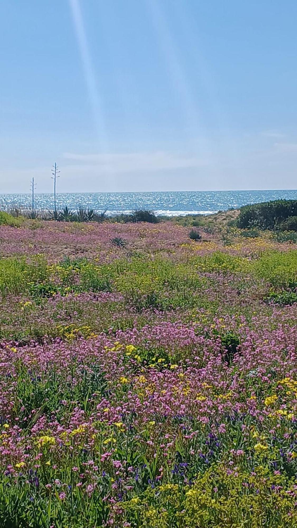 Fin Fiori Villa Менфи Екстериор снимка